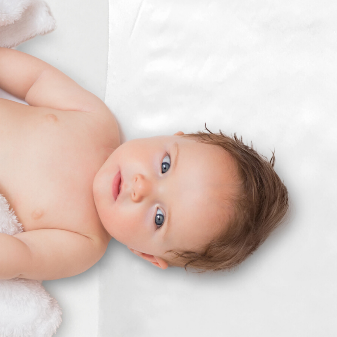 Mane Satin and Organic Jersey Cotton Crib Fitted Sheet